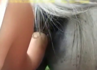 Horny horse gets its asshole gaped on cam